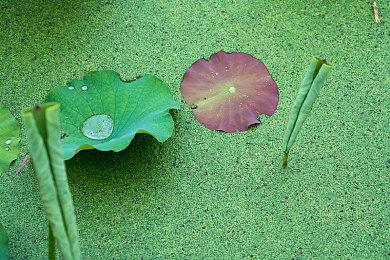 战略类Roguelike游戏《成圣》Steam页面上线 8月6日发售